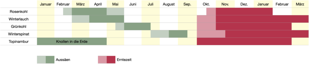 Aussaatkalender_Wintergemüse